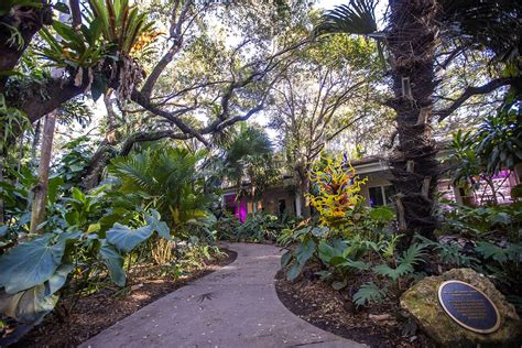 Fairchild Botanic Tropical Garden In Miami Florida Vacation Auction