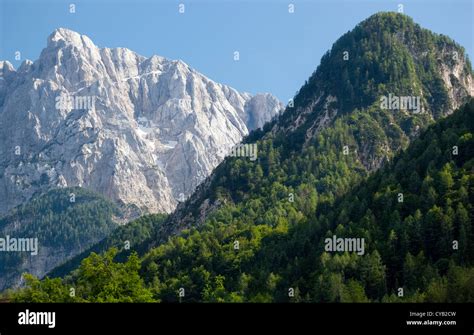 The Lower Slopes Of The High Mountains In The Julian Alps Near Kranjska