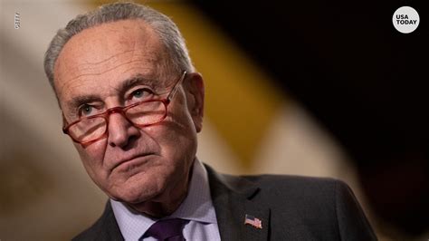 Chuck Schumer Rips Trump For Termination Of Constitution Comments