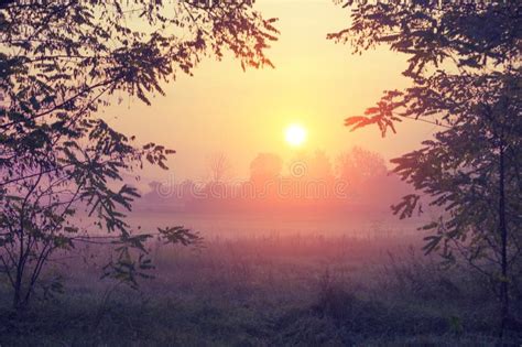 Sunrise Over The Field In The Early Misty Morning Stock Image Image