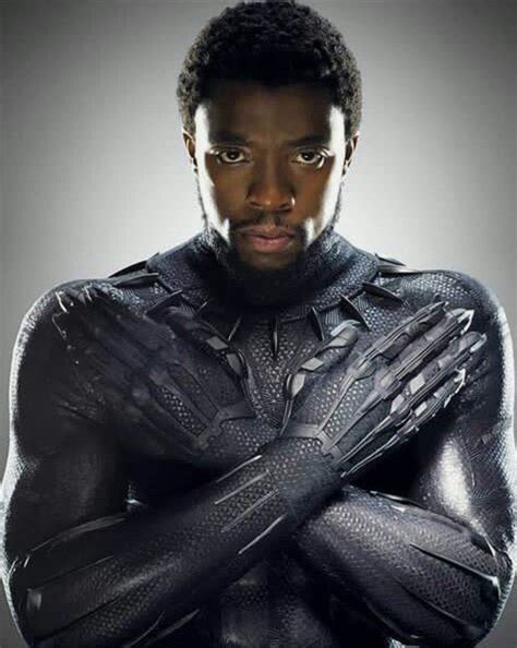 Wakanda Forever Black Panther Marvel Black Panther Black Panther Art