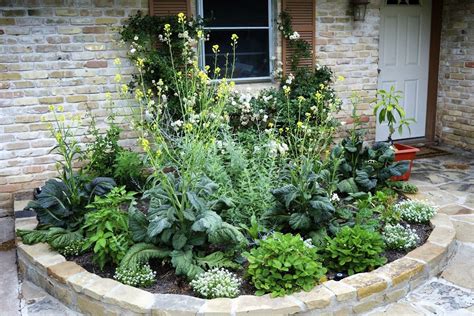 16 Edible Landscaping Ideas Home Garden