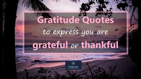 Gratitude Quotes To Express You Are Grateful Or Thankful Gratitude