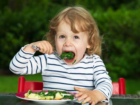 Tips Mengajarkan Si Kecil Agar Suka Makan Sayuran