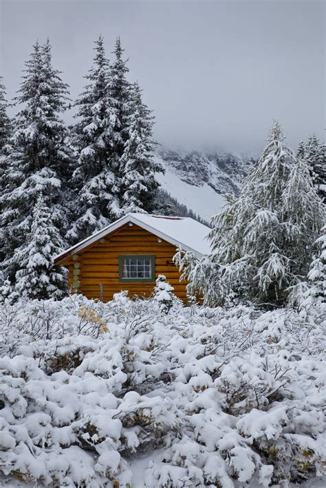 Cabin Of Mount Assiniboine Lodge After Snowfall