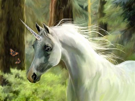 Unicorn Horse Magical Animal Tw Wallpapers Hd Desktop And Mobile