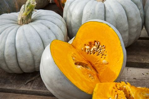 10 Pumpkin And Winter Squash Varieties You Should Know