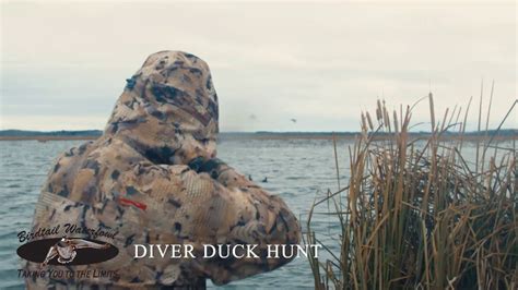 Big Water Diver Duck Hunting Waterfowl Hunting Experiences Youtube