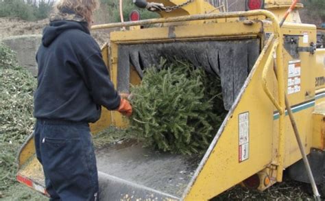 Waste Management Christmas Tree Pick Up Agricultural Engineering