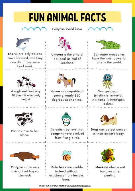 Fun Facts About Animals For Kids Free Animal Facts Printable Riset