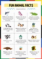 Fun Facts about Animals for Kids with free animal facts Printable