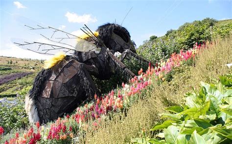 An Artistic Sculpture Made Out Of Plants And Flowers On The Side Of A