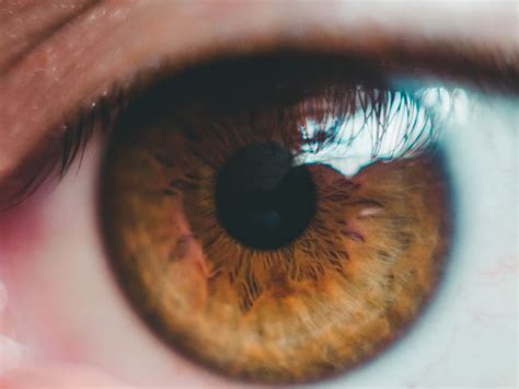 HD Wallpaper Macro Eye Fibers Brown Close Up Human Body Eyelash