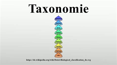 Taxonomie Youtube