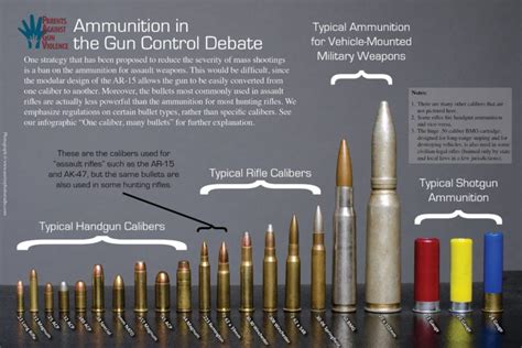 Basic Bullet Explained Sizes Calibers And Types Must Read