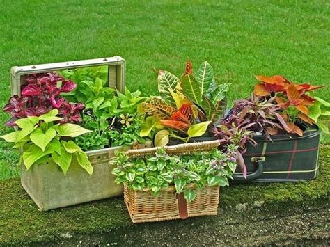 Diy Flower Pots Creative And Environmentally Friendly Ideas