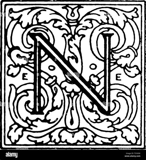 A Decorative Capital Letter N Vintage Line Drawing Or Engraving