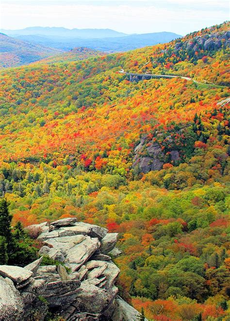 23 Best Images About Fall Foliage In North Carolina On Pinterest