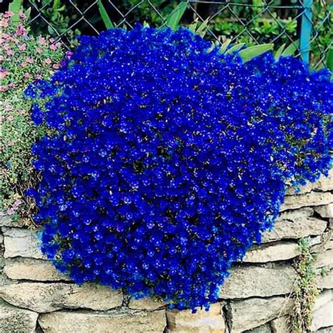 Awesome Rock Landscaping Ideas Backyard That Work In 2020 Flower