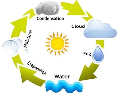 What Is Fog Made Of Types Causes Origin Journalhow 2023