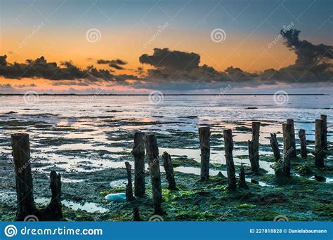 The Wadden Sea On Island Romo In Denmark At Low Tide After Sunset