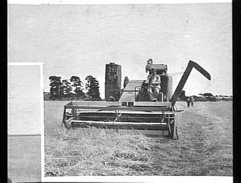 Photograph Hv Mckay Massey Harris Farm Equipment Manufacture And Field Trials Circa 1930s 1940s