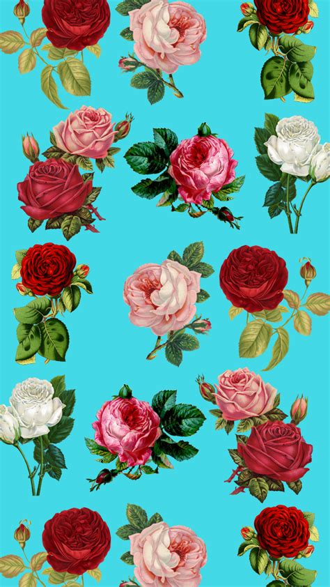 Blue Roses Iphone 8 Wallpaper Floral Wallpaper Nursery Floral