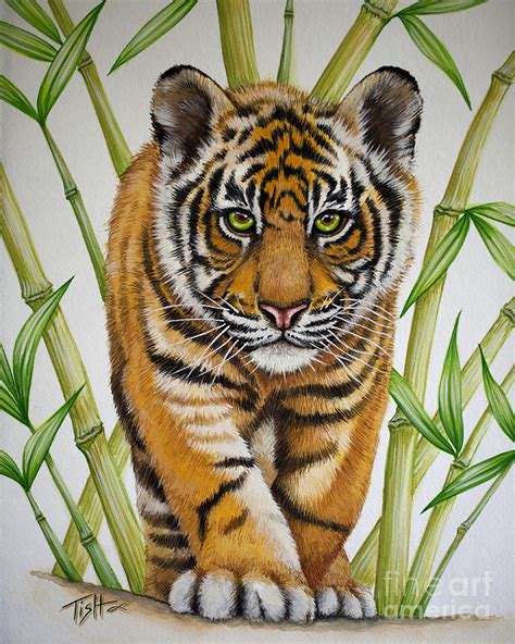 Tiger Cub Painting By Tish Wynne Pixels