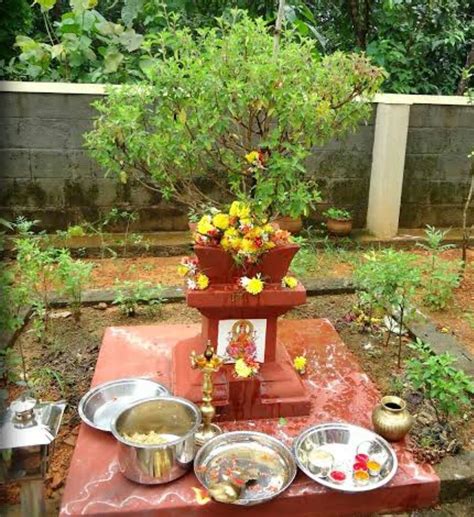 Tulasi Plant Festival Decorations Table Decorations Garden Hacks Diy