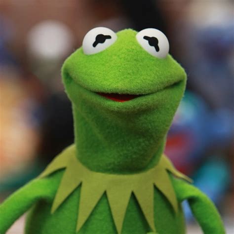 Kermit The Frog Corduroy Tv Series By Nelvana Wiki Fandom