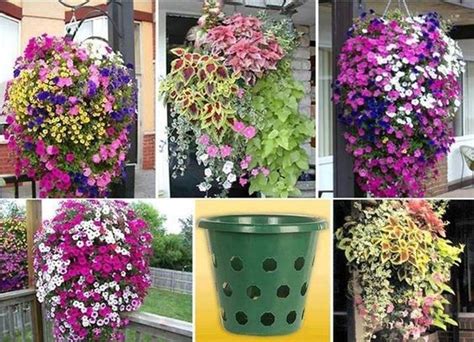 Great Design Ideas For Vertical Gardens Hanging Baskets Jungles And