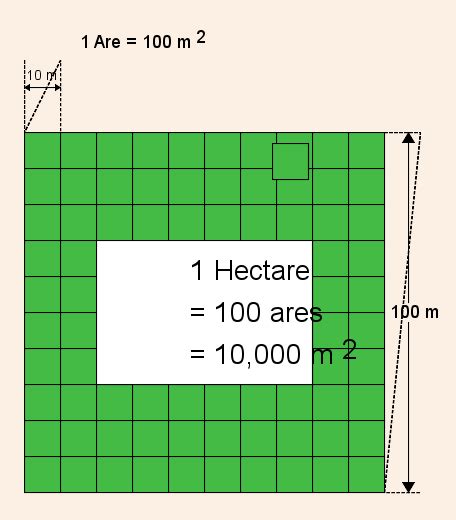 Hectare Wiki Everipedia