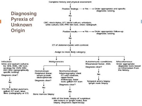 Pyrexia Of Unknown Origin Puo