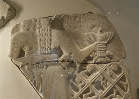 Calc pe iarba, nu se apleaca. La Stele degli Avvoltoi - StorieParallele.it