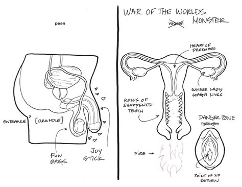 Female Reproductive System Drawing At Getdrawings Free Download