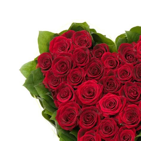 Rose Flowers Heart Over White Valentine Love — Stock Photo