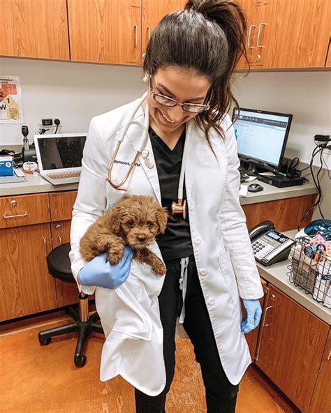 What To Ask Your Vet On Your Puppys First Visit — The Puppy Academy