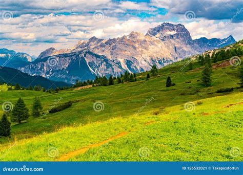 View Of The Dolomites Mountain With The Hill Of Flowers Field Stock