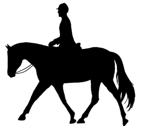 Show Jumper Horse Clipart Clipart Kid