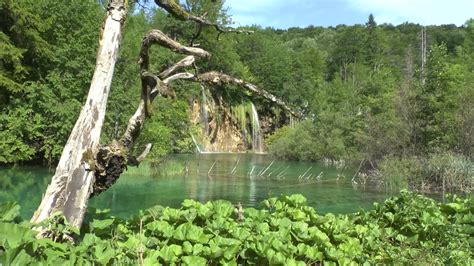 Plitvice Lakes Cinemagraphs