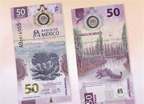 Así es el nuevo billete de 50 pesos y sus características RegeneraciónMX