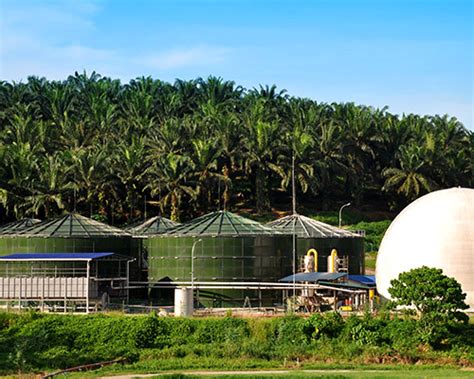 Sarawak oil palms berhad (sopb) is a malaysian public company listed on the bursa malaysia (formerly known as the kuala lumpur stock exchange). Plantation - IOI Group
