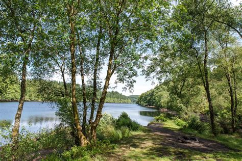 Three Lochs Forest Drive — See Loch Lomond What To Do In Loch Lomond