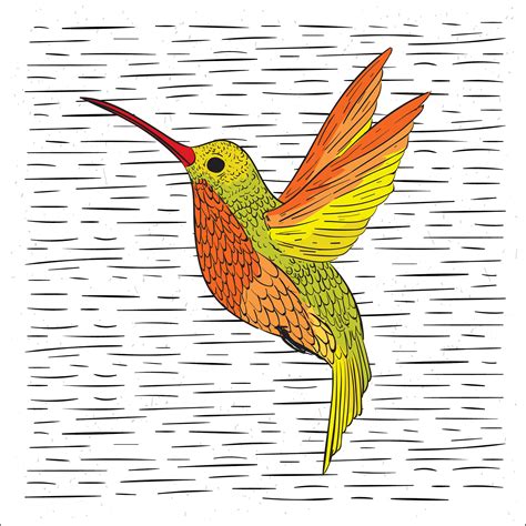Hand Drawn Vector Hummingbird Illustration 174821 Vector Art At Vecteezy