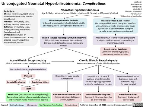 Unconjugated Neonatal Hyperbilirubinemia Complications Calgary Guide