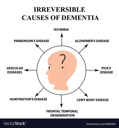Irreversible Causes Of Senile Dementia Alzheimers Vector Image