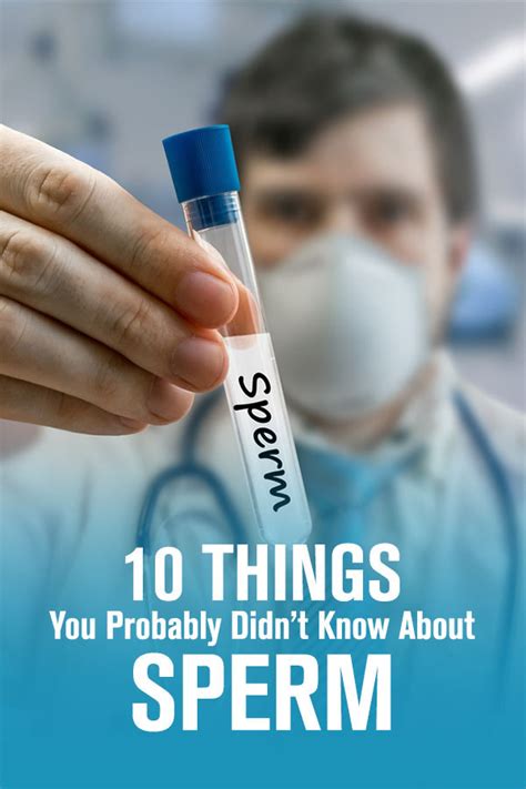 10 Things You Probably Didnt Know About Sperm