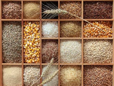 7 Whole Grains That Are Healthy For You