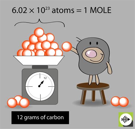 Mole Carbon Relationship Chemistry Classroom Chemistry Chemistry