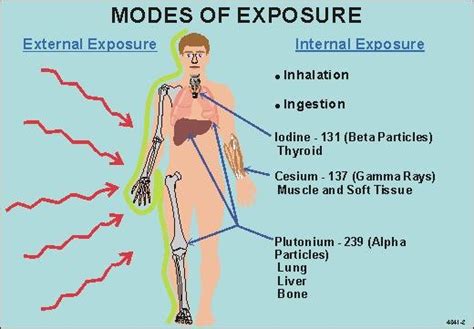 How The Hell Should I Know Symptoms Of Radiation Sickness